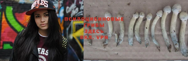 мдпв Михайловск