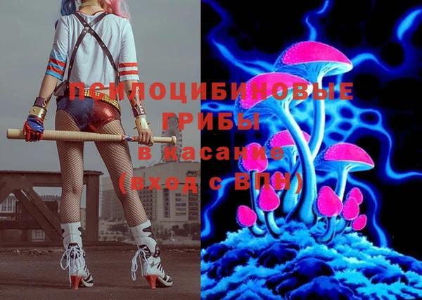 мдпв Михайловск