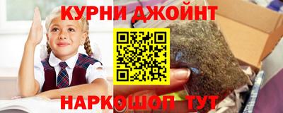 прущие крисы Будённовск