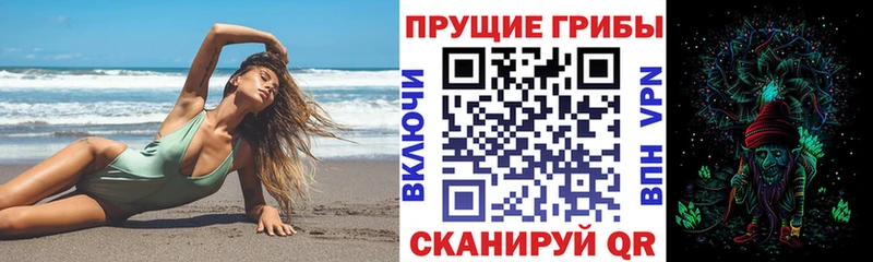 Галлюциногенные грибы Psilocybine cubensis Жуковский