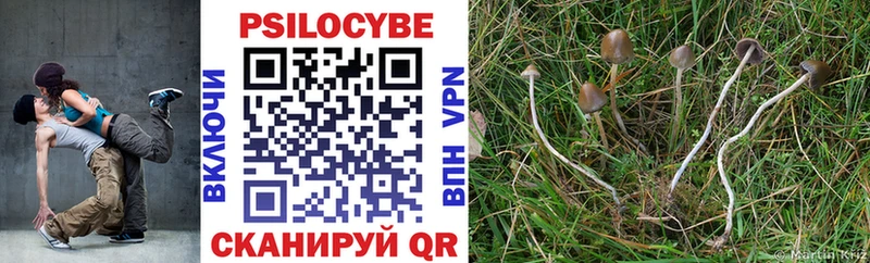 закладки  Жуковский  hydra ССЫЛКА  Галлюциногенные грибы прущие грибы 