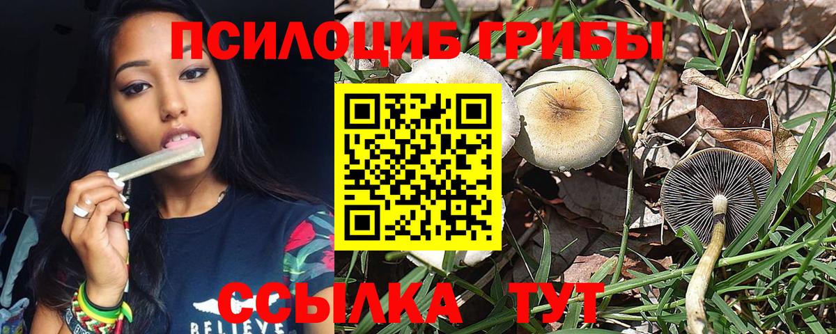 Псилоцибиновые грибы Psilocybine cubensis  Вход с VPN  Жуковский 