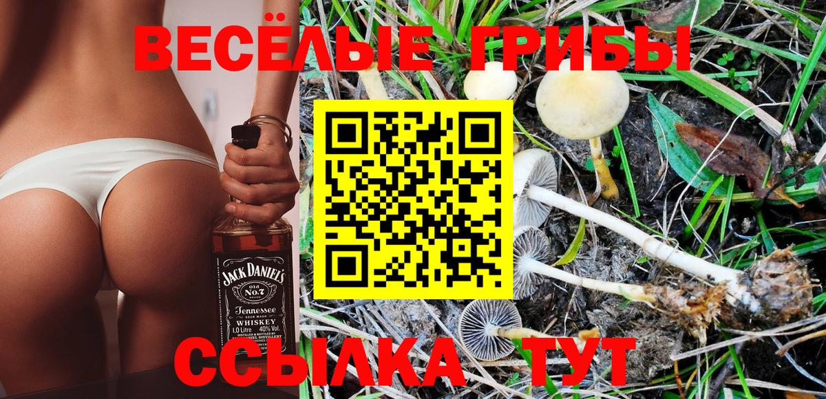 Псилоцибиновые грибы Cubensis Жуковский