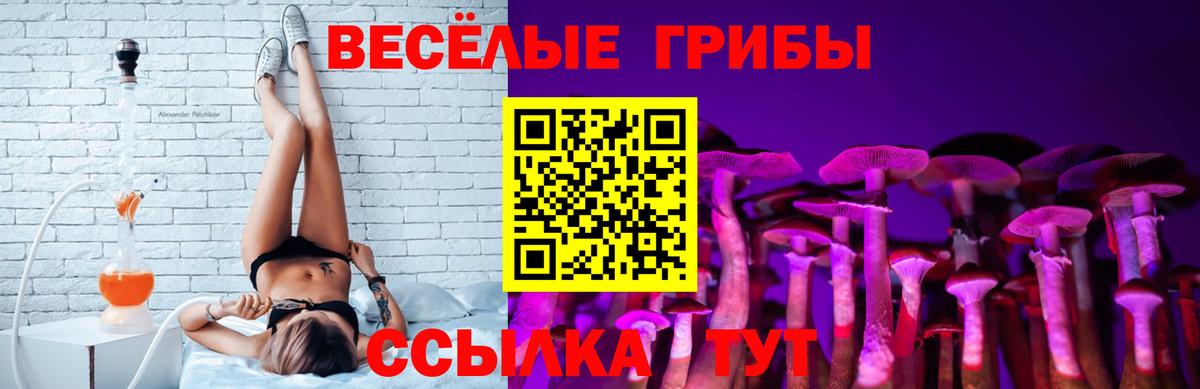 Псилоцибиновые грибы Psilocybe Жуковский