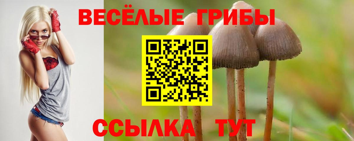 Псилоцибиновые грибы MAGIC MUSHROOMS  Жуковский 